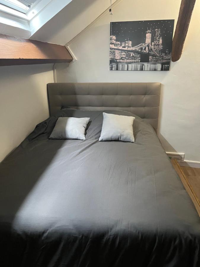 Charmant T3 En Duplex แซงต์บริซซูร์ฟอเรต์ ภายนอก รูปภาพ